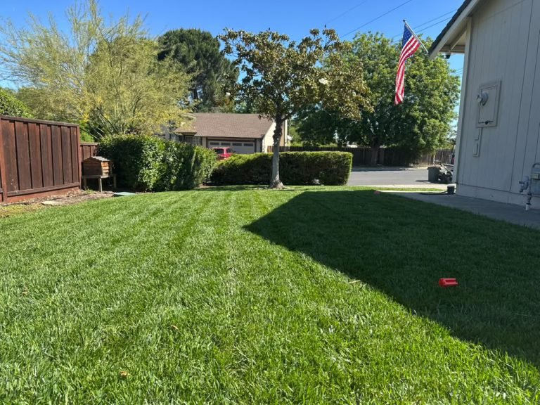 Landscaping project by HC Gardening & Landscaping in the East Bay Area