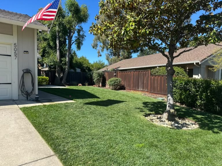 Landscaping project by HC Gardening & Landscaping in the East Bay Area