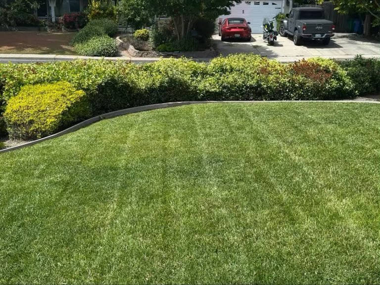 Landscaping project by HC Gardening & Landscaping in the East Bay Area