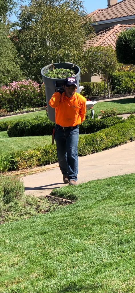 Landscaping project by HC Gardening & Landscaping in the East Bay Area