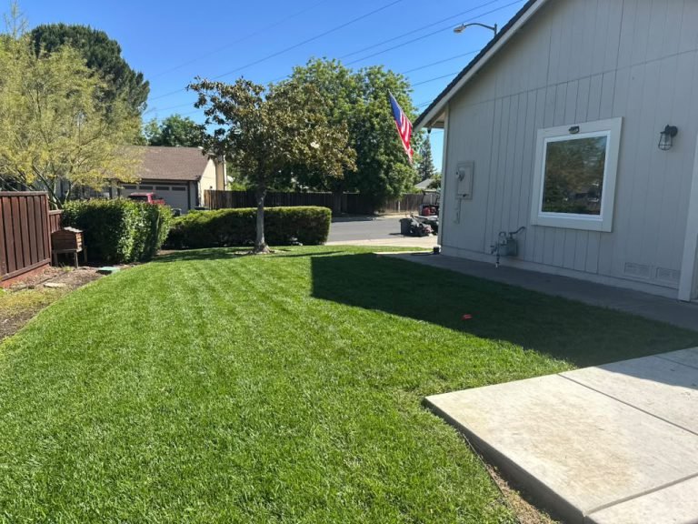 Landscaping project by HC Gardening & Landscaping in the East Bay Area
