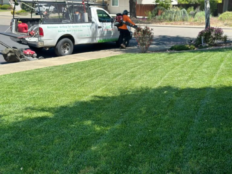 Landscaping project by HC Gardening & Landscaping in the East Bay Area
