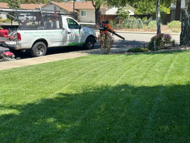 Landscaping project by HC Gardening & Landscaping in the East Bay Area