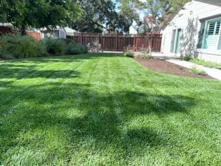 Landscaping project by HC Gardening & Landscaping in the East Bay Area