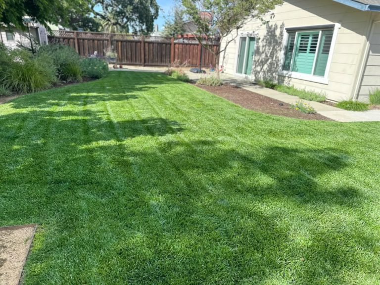 Landscaping project by HC Gardening & Landscaping in the East Bay Area
