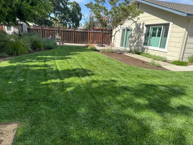 Landscaping project by HC Gardening & Landscaping in the East Bay Area