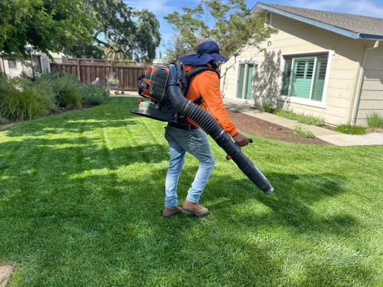 Landscaping project by HC Gardening & Landscaping in the East Bay Area