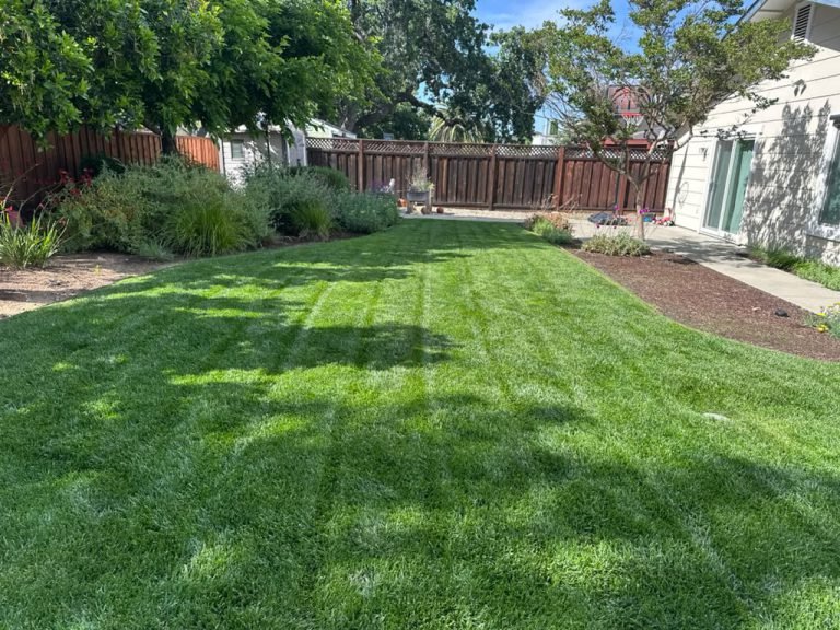 Landscaping project by HC Gardening & Landscaping in the East Bay Area