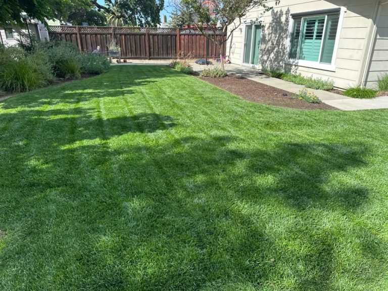 Landscaping project by HC Gardening & Landscaping in the East Bay Area