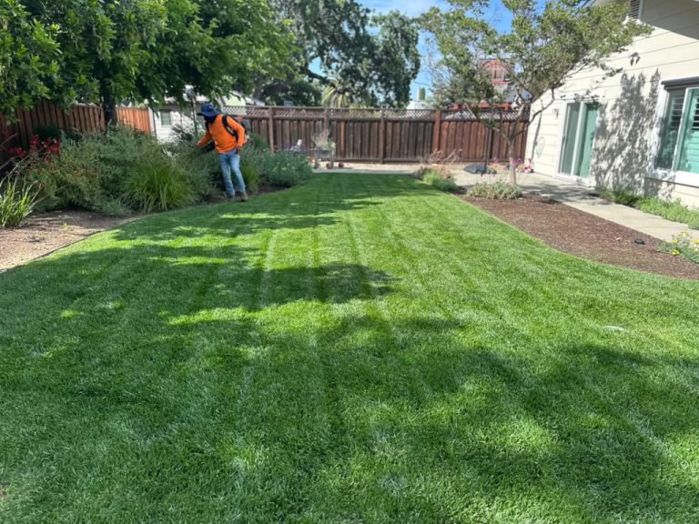 Landscaping project by HC Gardening & Landscaping in the East Bay Area