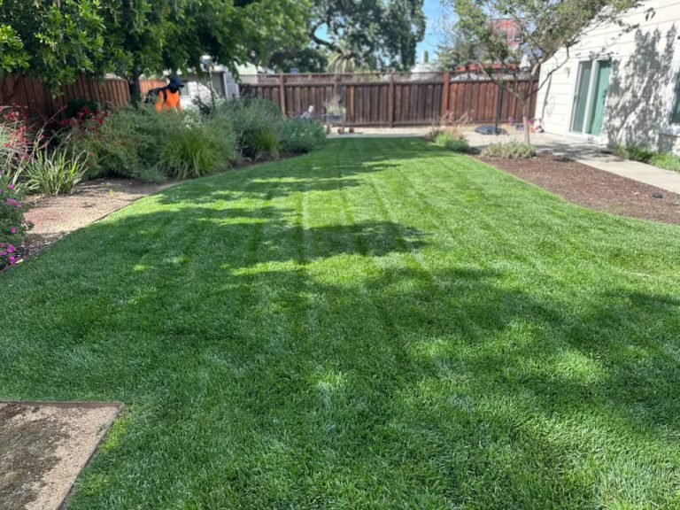 Landscaping project by HC Gardening & Landscaping in the East Bay Area