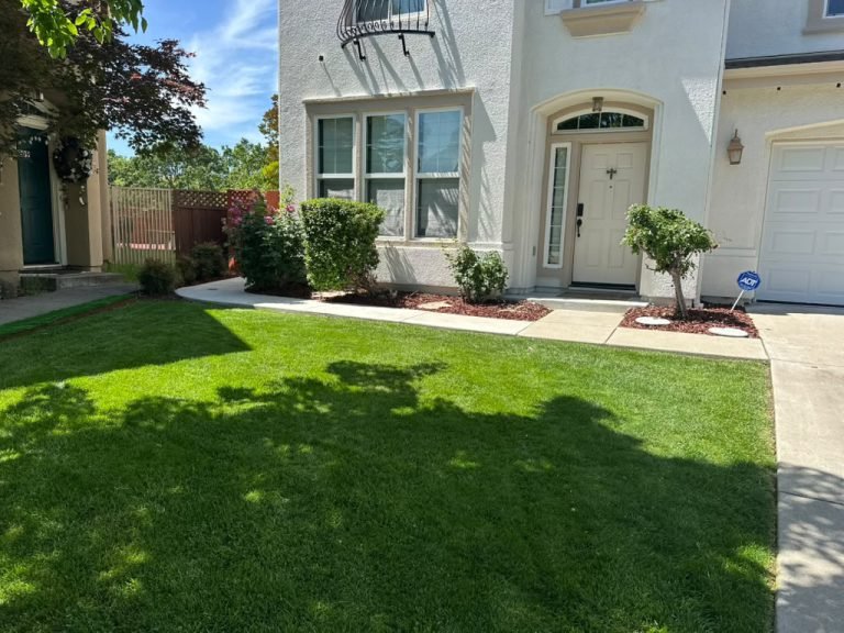 Landscaping project by HC Gardening & Landscaping in the East Bay Area