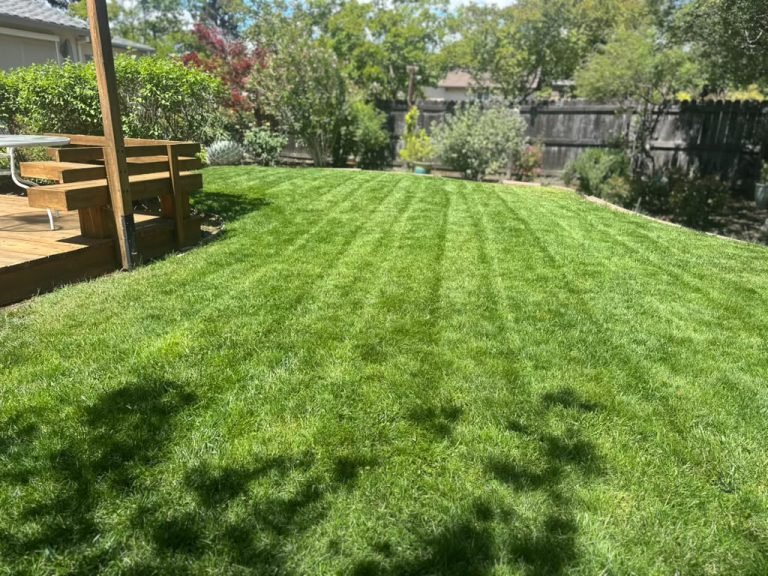 Landscaping project by HC Gardening & Landscaping in the East Bay Area