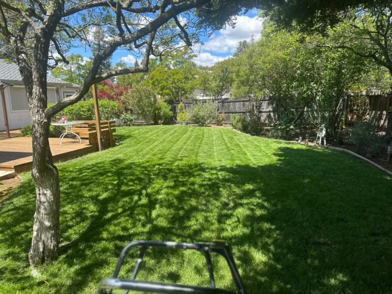 Landscaping project by HC Gardening & Landscaping in the East Bay Area