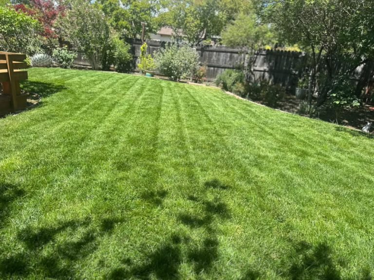 Landscaping project by HC Gardening & Landscaping in the East Bay Area