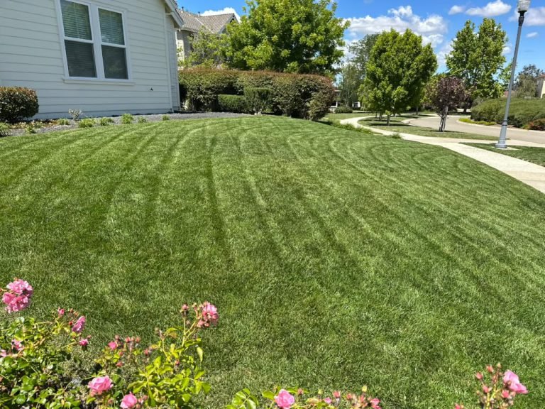 Landscaping project by HC Gardening & Landscaping in the East Bay Area