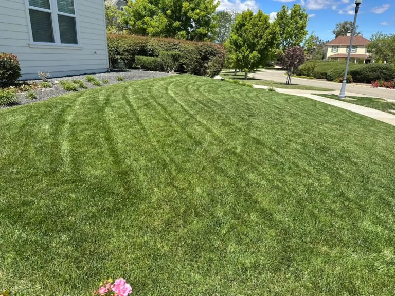 Landscaping project by HC Gardening & Landscaping in the East Bay Area