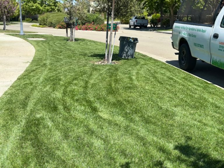 Landscaping project by HC Gardening & Landscaping in the East Bay Area