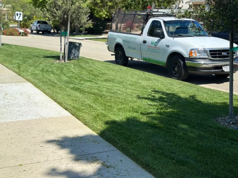 Landscaping project by HC Gardening & Landscaping in the East Bay Area