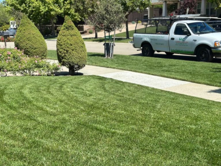 Landscaping project by HC Gardening & Landscaping in the East Bay Area
