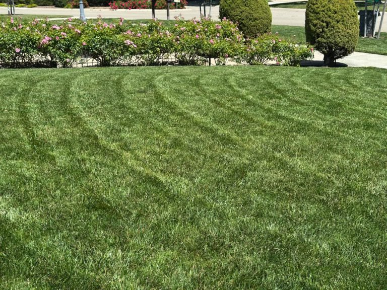 Landscaping project by HC Gardening & Landscaping in the East Bay Area