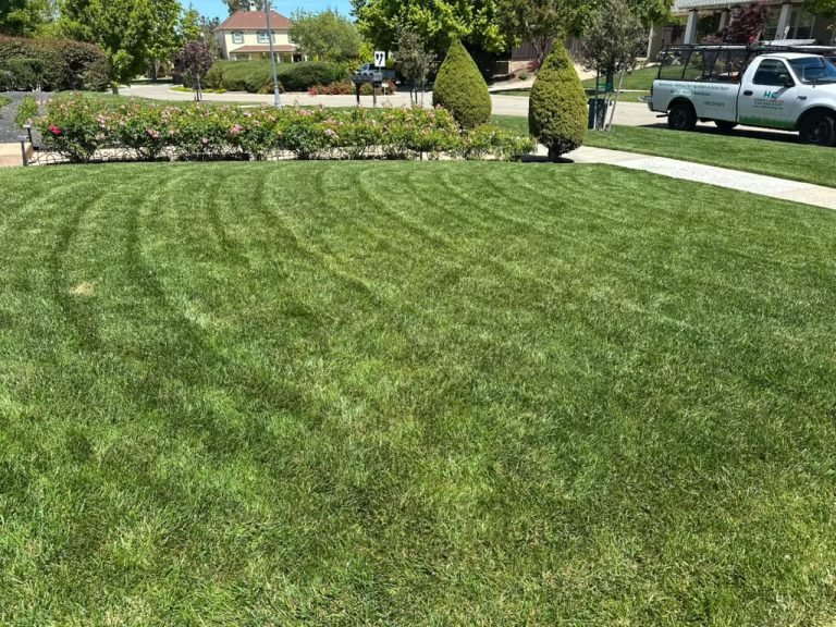 Landscaping project by HC Gardening & Landscaping in the East Bay Area