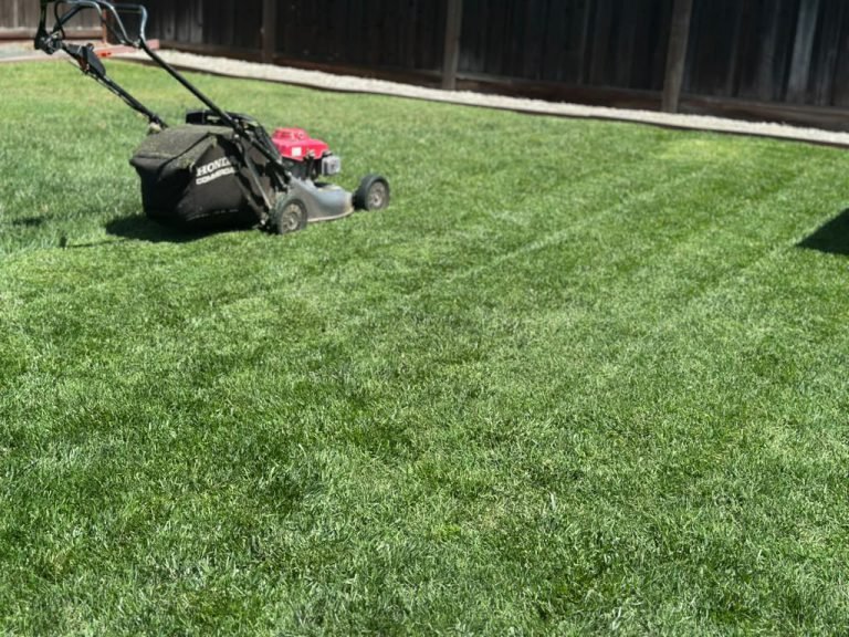 Landscaping project by HC Gardening & Landscaping in the East Bay Area
