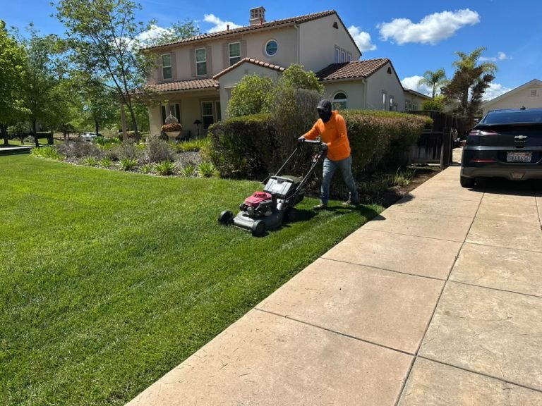 Landscaping project by HC Gardening & Landscaping in the East Bay Area