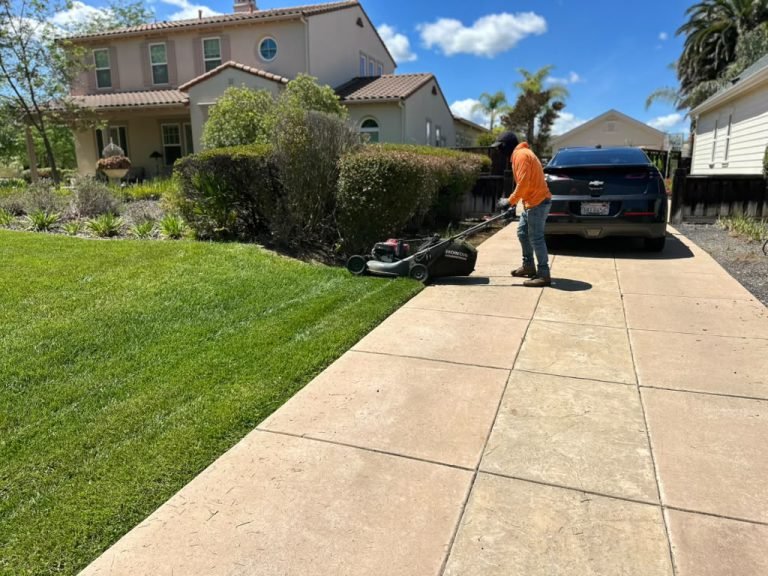 Landscaping project by HC Gardening & Landscaping in the East Bay Area