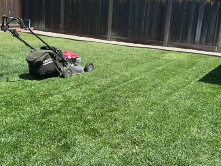 Landscaping project by HC Gardening & Landscaping in the East Bay Area