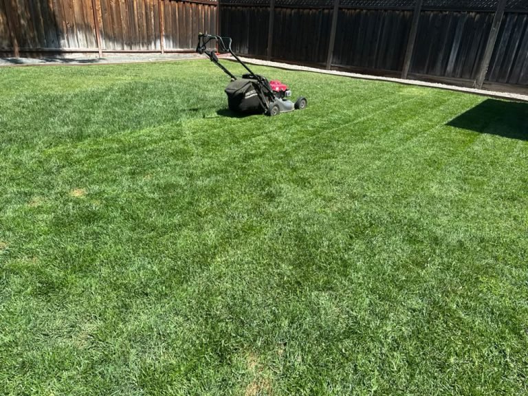 Landscaping project by HC Gardening & Landscaping in the East Bay Area