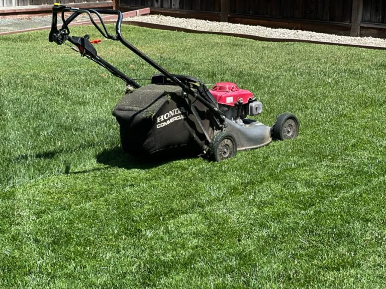 Landscaping project by HC Gardening & Landscaping in the East Bay Area