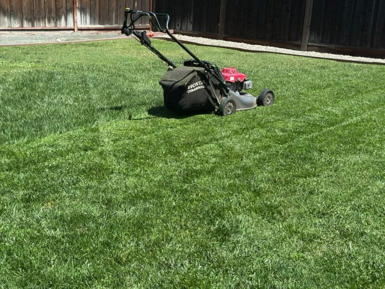 Landscaping project by HC Gardening & Landscaping in the East Bay Area