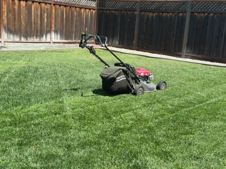 Landscaping project by HC Gardening & Landscaping in the East Bay Area