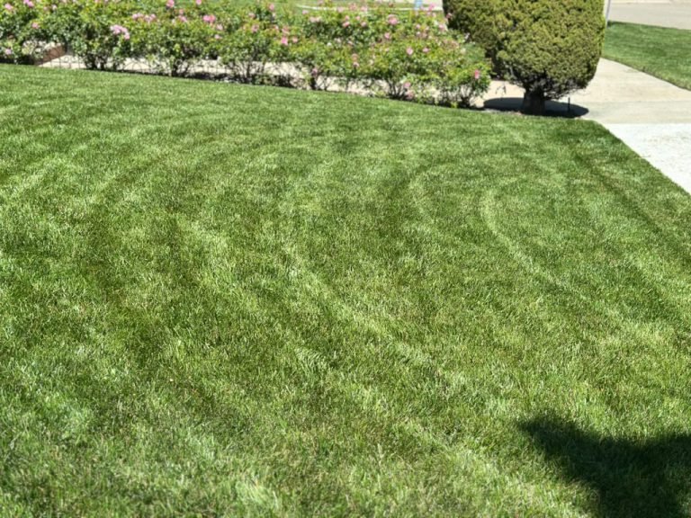 Landscaping project by HC Gardening & Landscaping in the East Bay Area