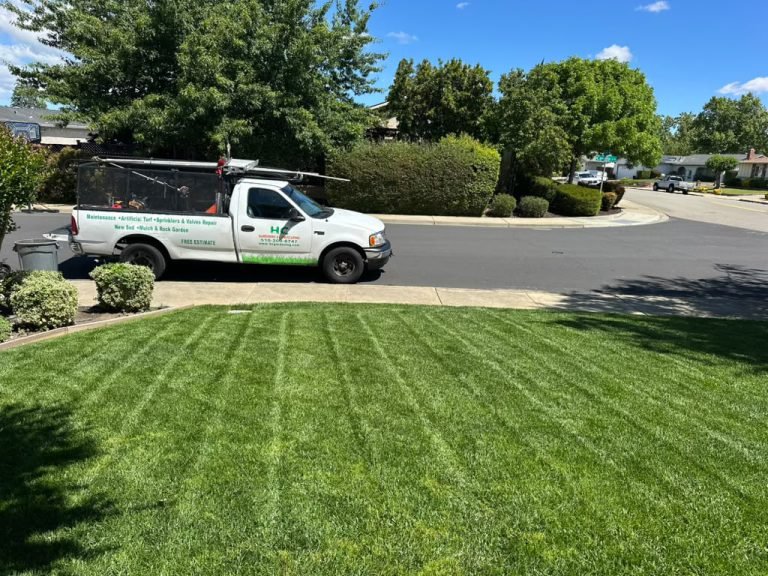 Landscaping project by HC Gardening & Landscaping in the East Bay Area