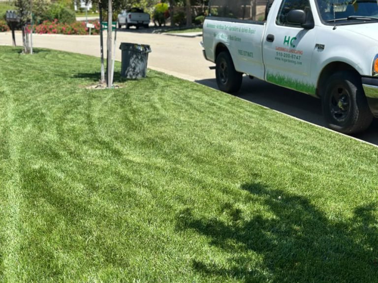 Landscaping project by HC Gardening & Landscaping in the East Bay Area