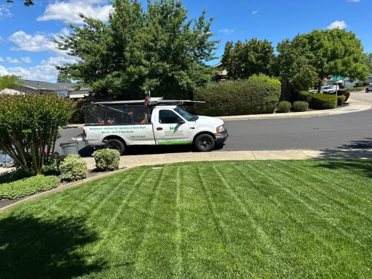Landscaping project by HC Gardening & Landscaping in the East Bay Area