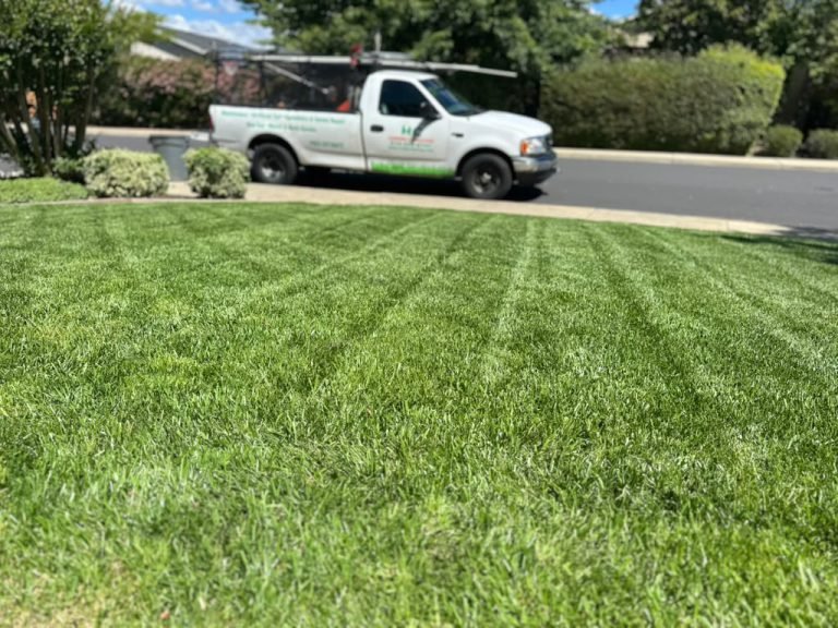 Landscaping project by HC Gardening & Landscaping in the East Bay Area