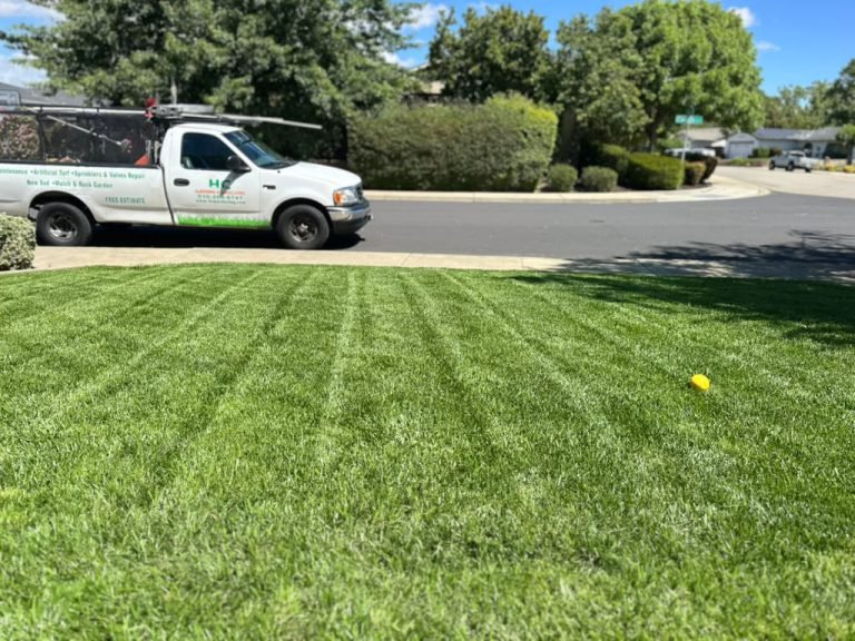 Landscaping project by HC Gardening & Landscaping in the East Bay Area