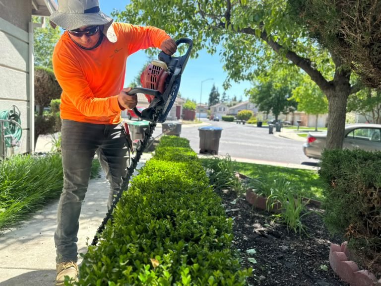 Landscaping project by HC Gardening & Landscaping in the East Bay Area