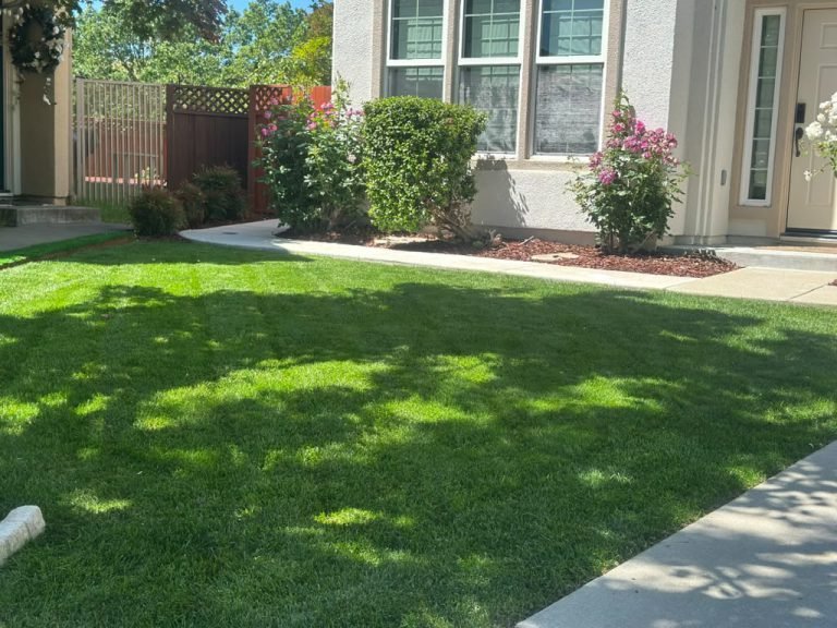 Landscaping project by HC Gardening & Landscaping in the East Bay Area