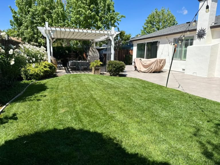 Landscaping project by HC Gardening & Landscaping in the East Bay Area