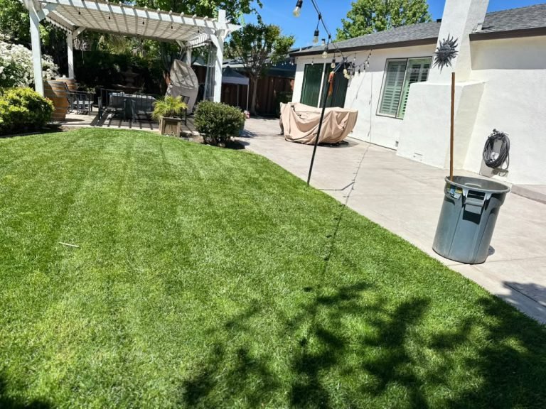 Landscaping project by HC Gardening & Landscaping in the East Bay Area
