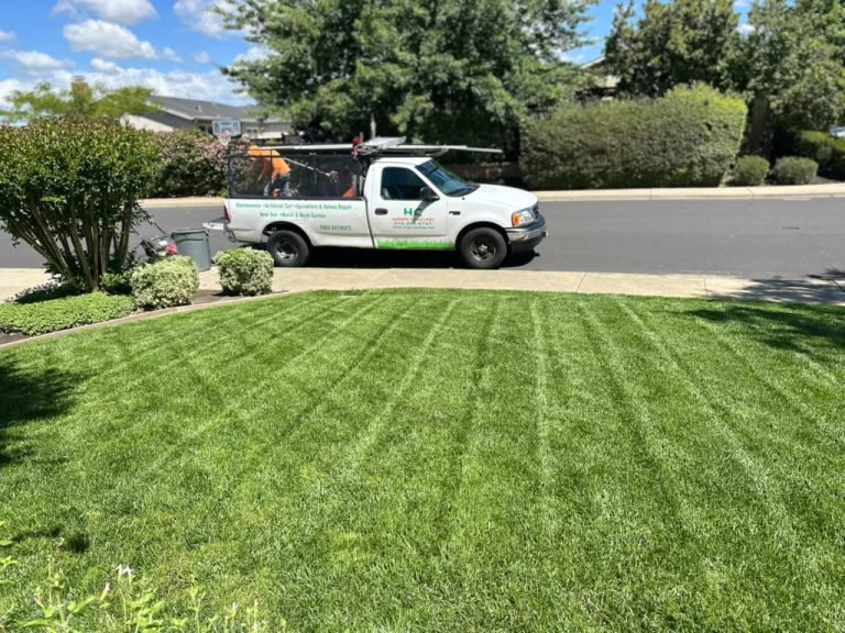 Landscaping project by HC Gardening & Landscaping in the East Bay Area