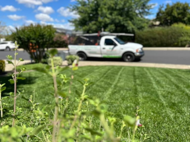 Landscaping project by HC Gardening & Landscaping in the East Bay Area