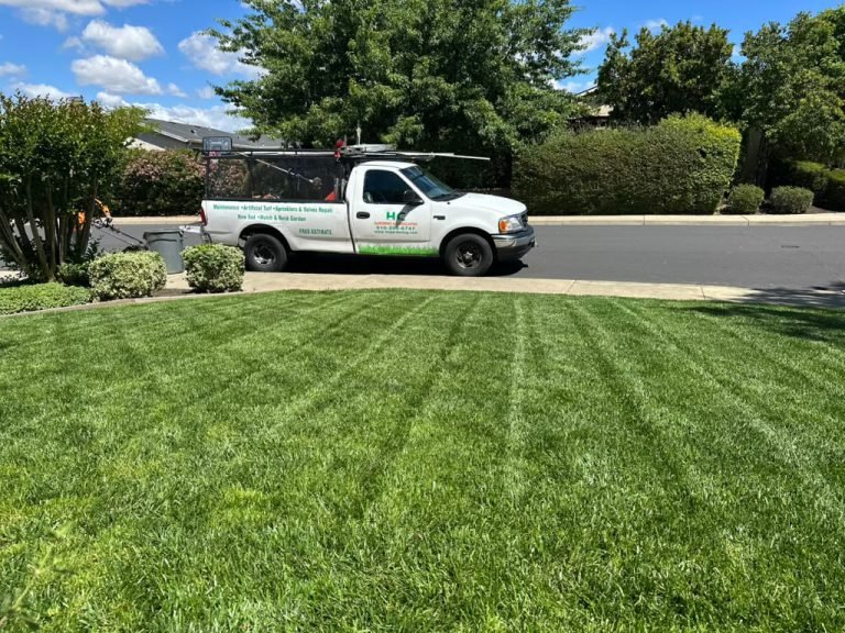 Landscaping project by HC Gardening & Landscaping in the East Bay Area