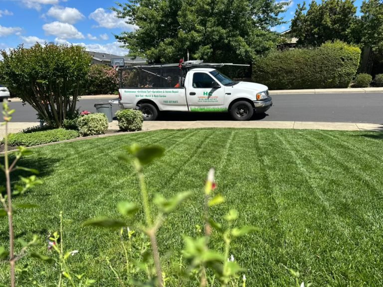Landscaping project by HC Gardening & Landscaping in the East Bay Area