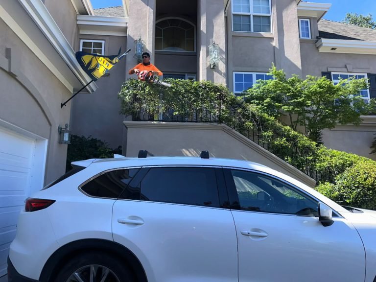 Landscaping project by HC Gardening & Landscaping in the East Bay Area