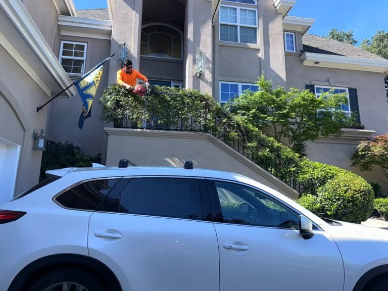 Landscaping project by HC Gardening & Landscaping in the East Bay Area